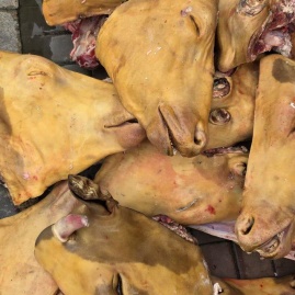 山东临沂罗庄区牛副产品、猪副产品、羊副产品、猪肉、牛肉、熟食、羊肉、鸡肉、鸡副产品、加热菜品宋亚囡食品厂位置_厂家货源